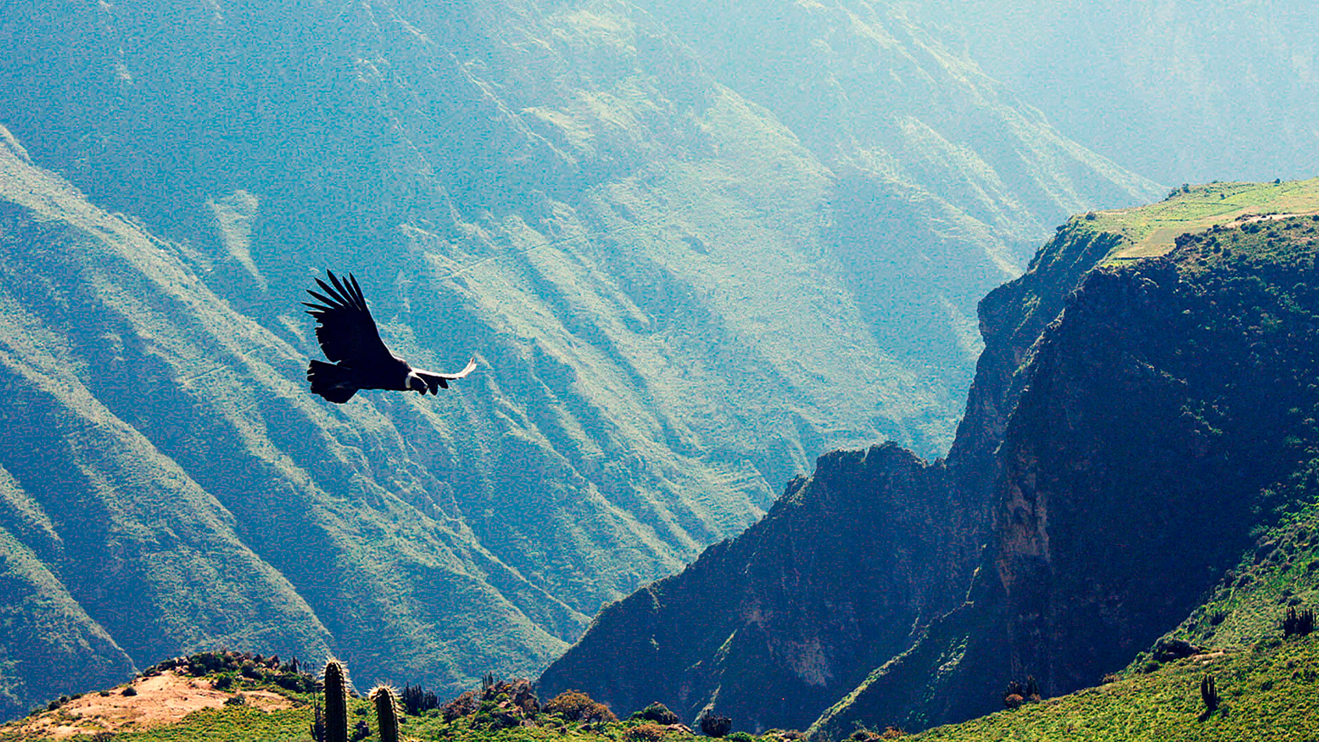 Colca Canyon Trekking - 2 Days / 1 Night