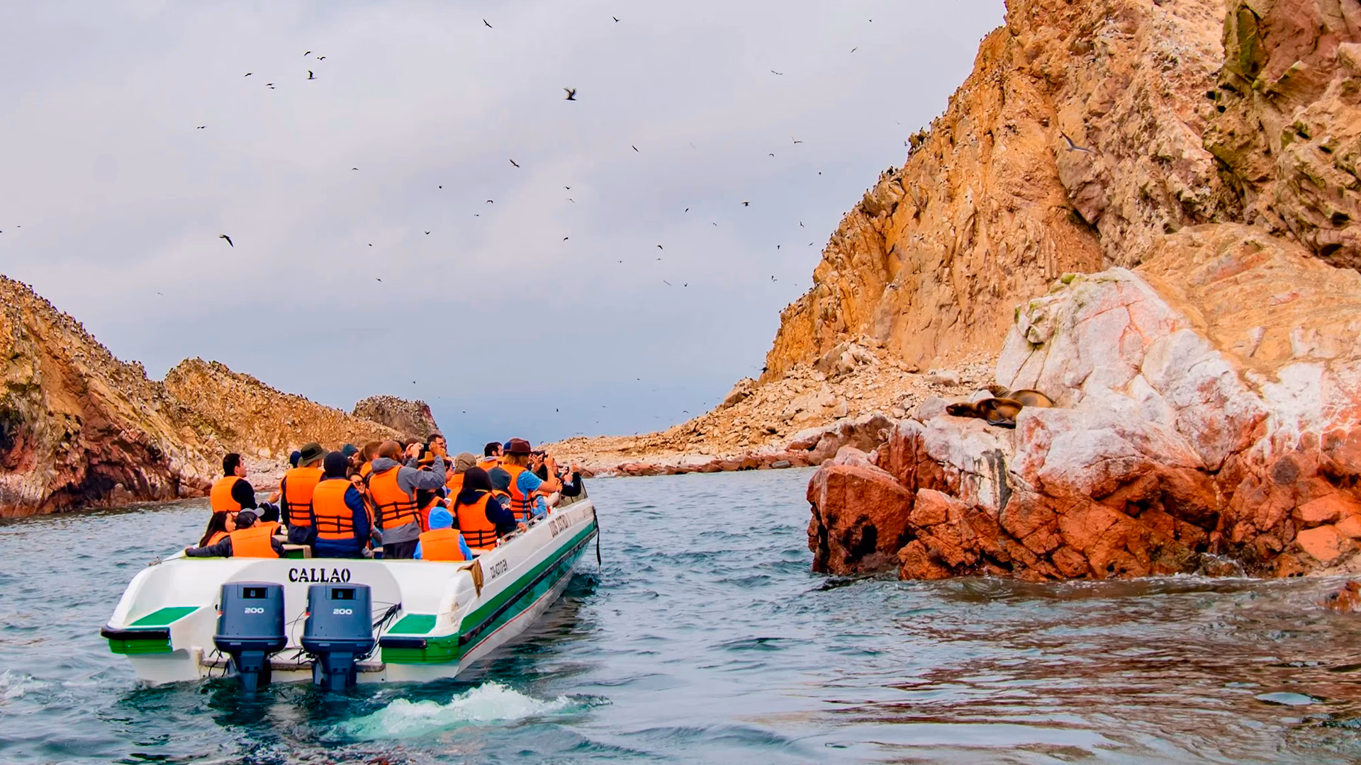 Ballestas Islands & Paracas National Reserve