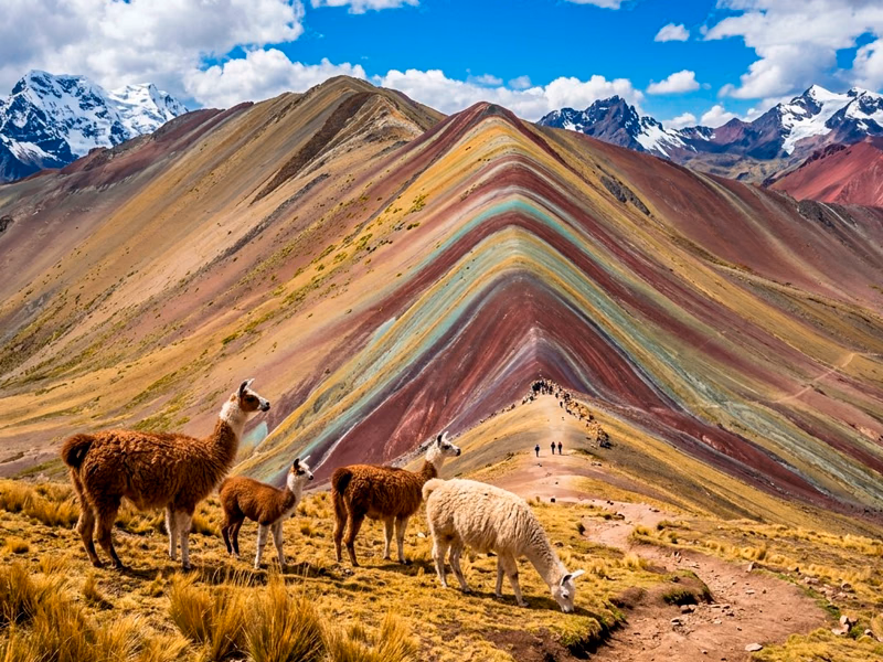 Tour Privado Montaña de Colores (Vinicunca) desde Cusco